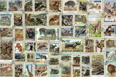 Ravensburger 17079 Animal Stamps 3000 Piece Puzzle for Adults - Every Piece is Unique, Softclick Technology Means Pieces Fit Together Perfectly, Multicolor